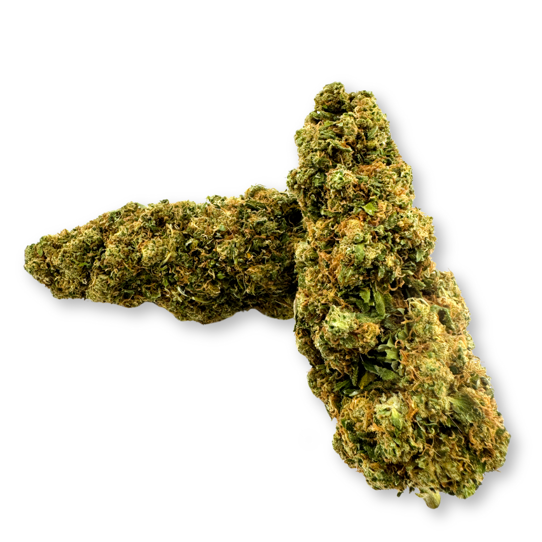 Godzilla Ökopack