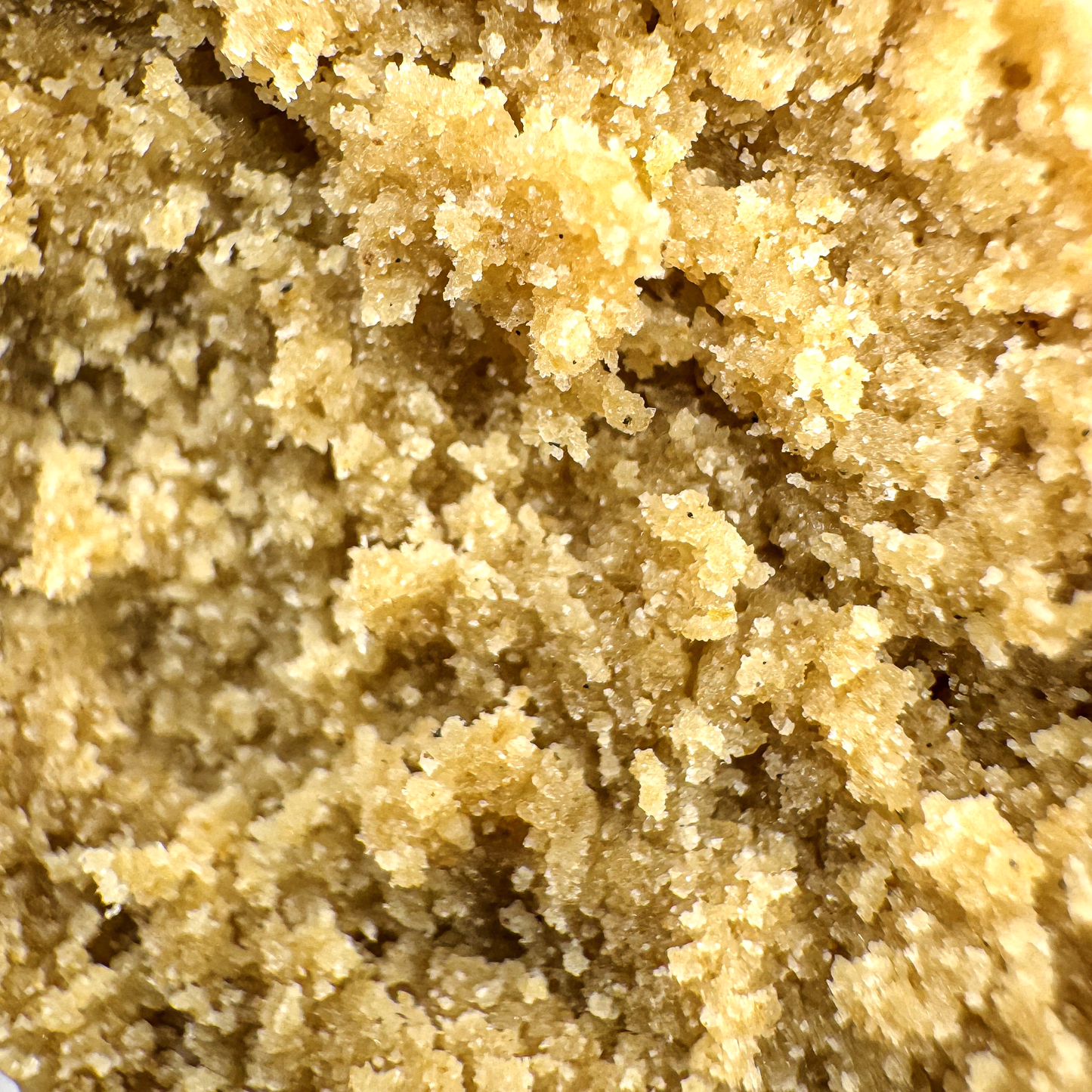 California Blueberry eco pack