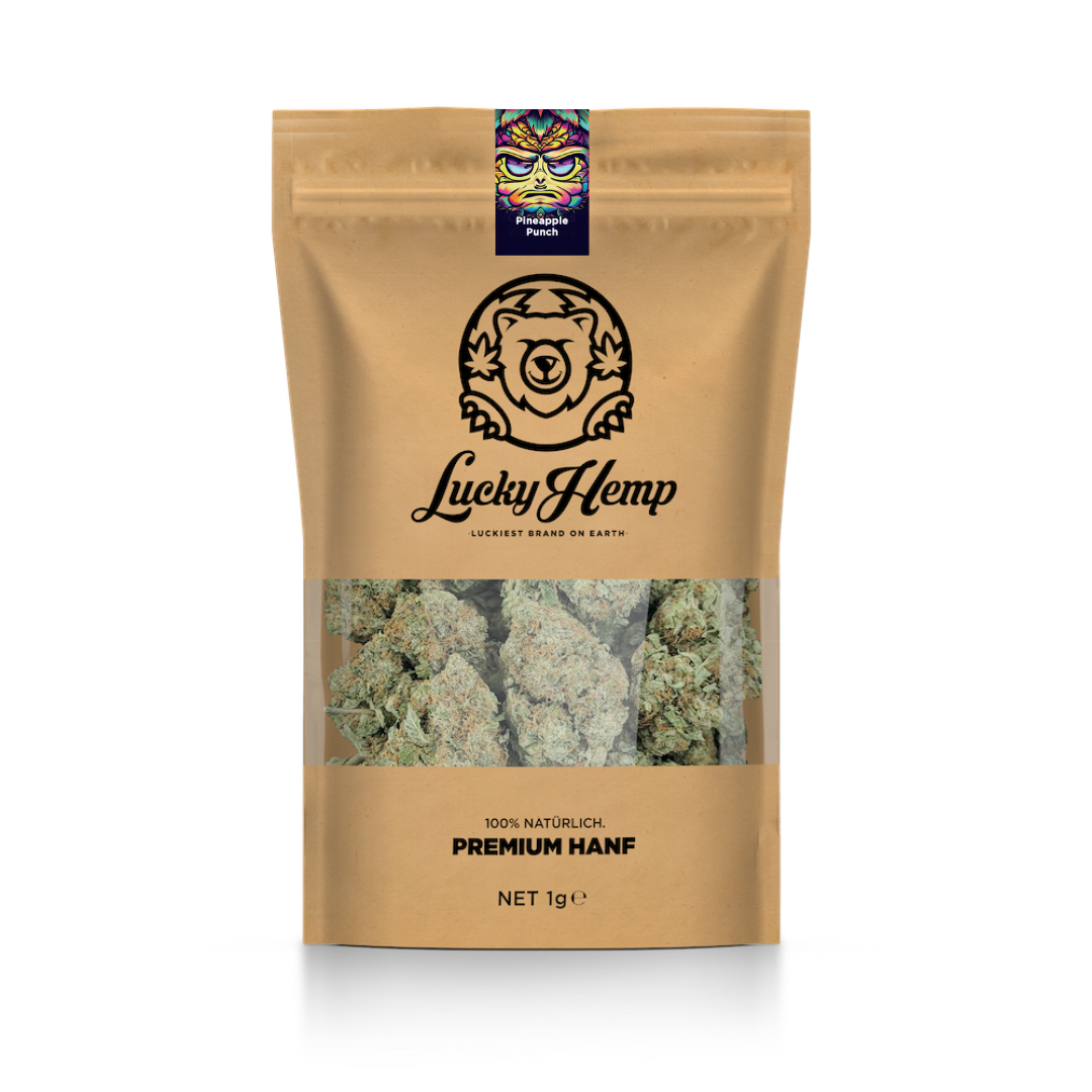 Ekologiczny pakiet California Blueberry