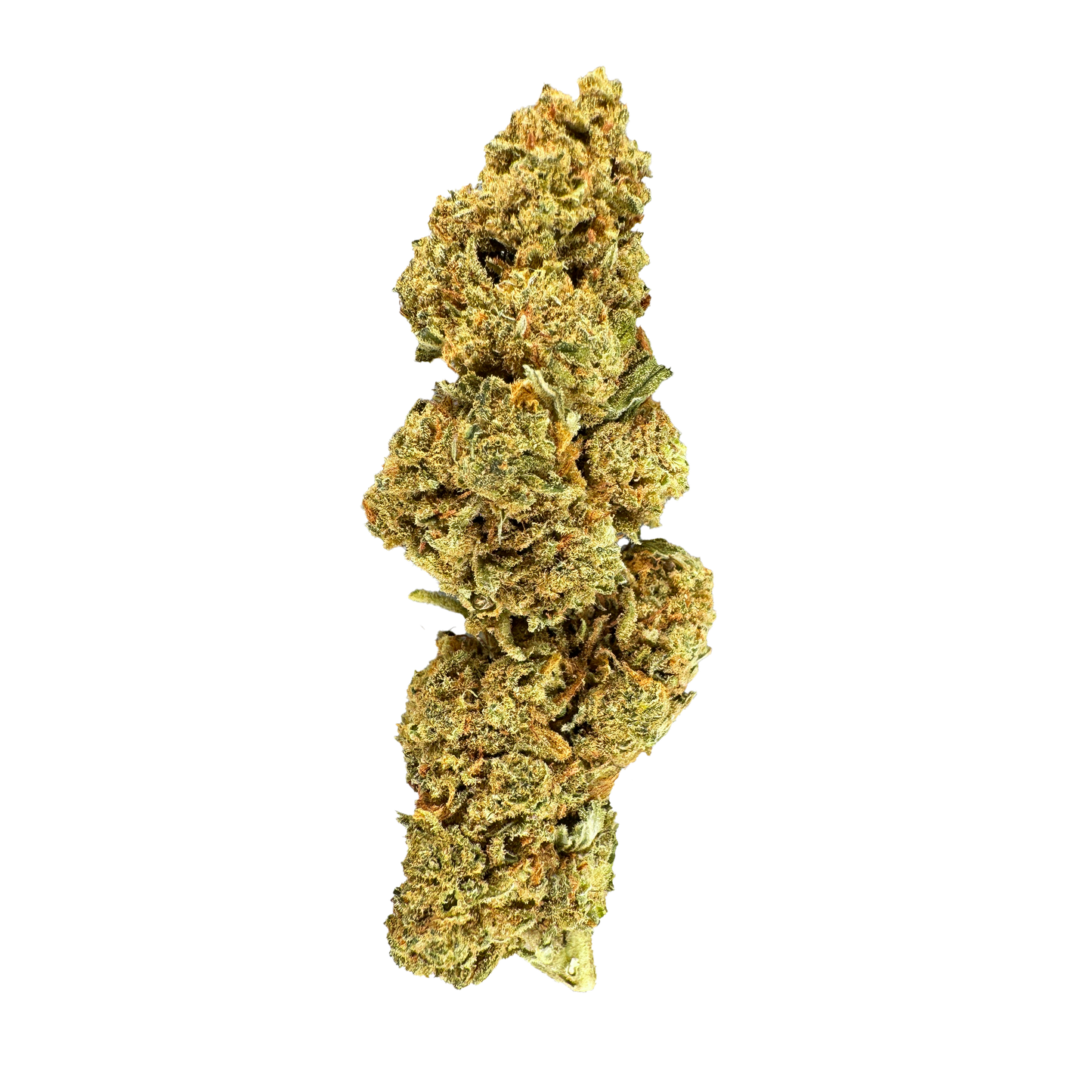 Super Lemon Haze luzem