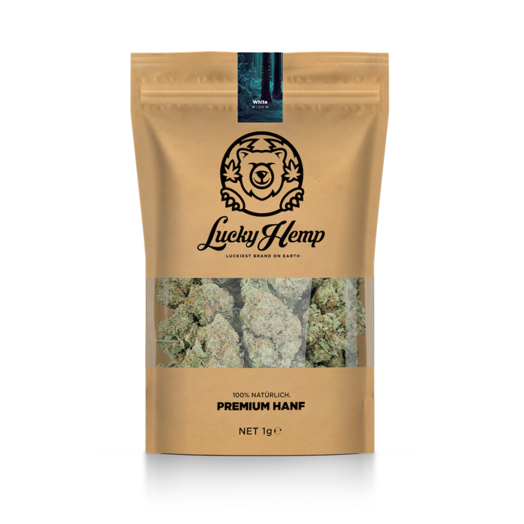 Eko opakowanie uzupełniające White Widow