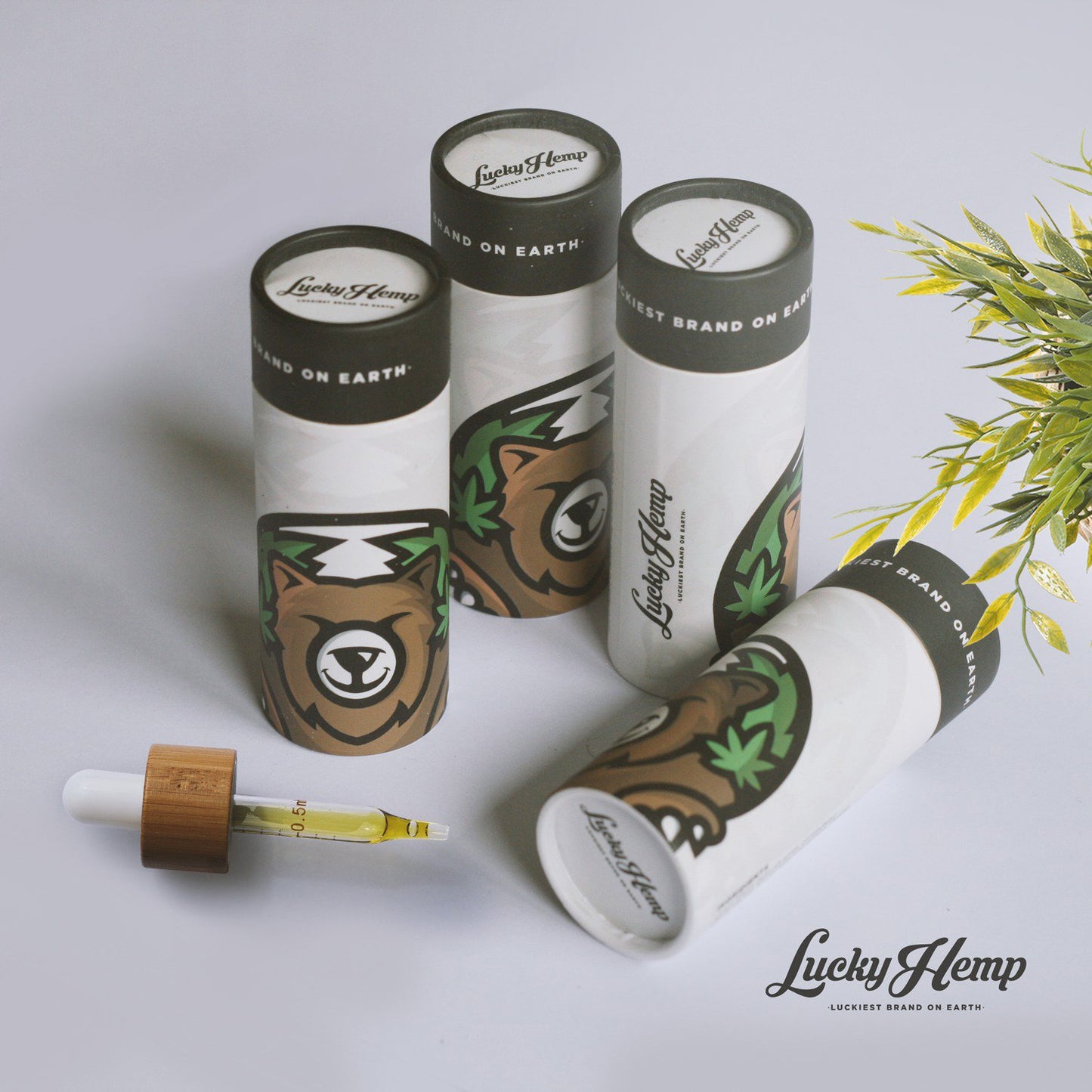 20% CBD oil 2000mg full spectrum