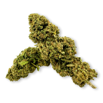 Ekologiczny pakiet California Blueberry