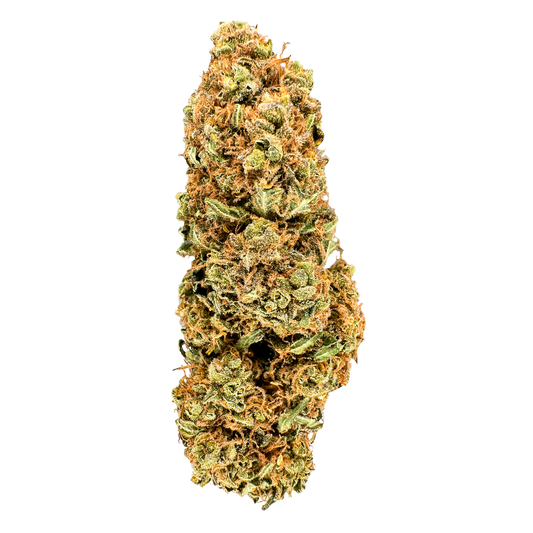 Berry Kush luzem