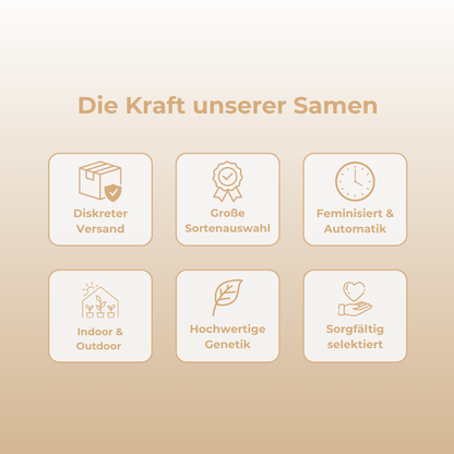 Cookies & Cream Samen Feminisiert