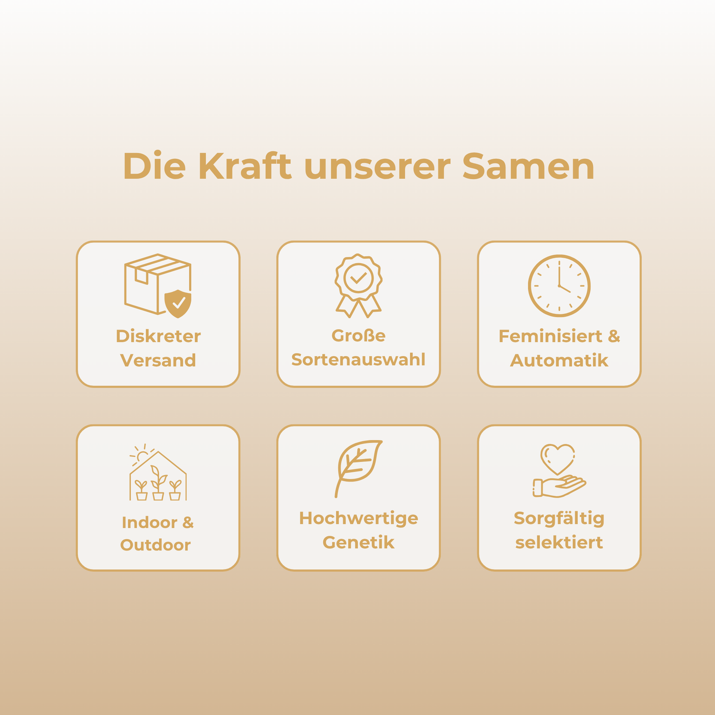 Kosher Kush Samen Feminisiert