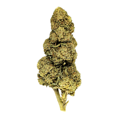 Orange Bud Bulk goods