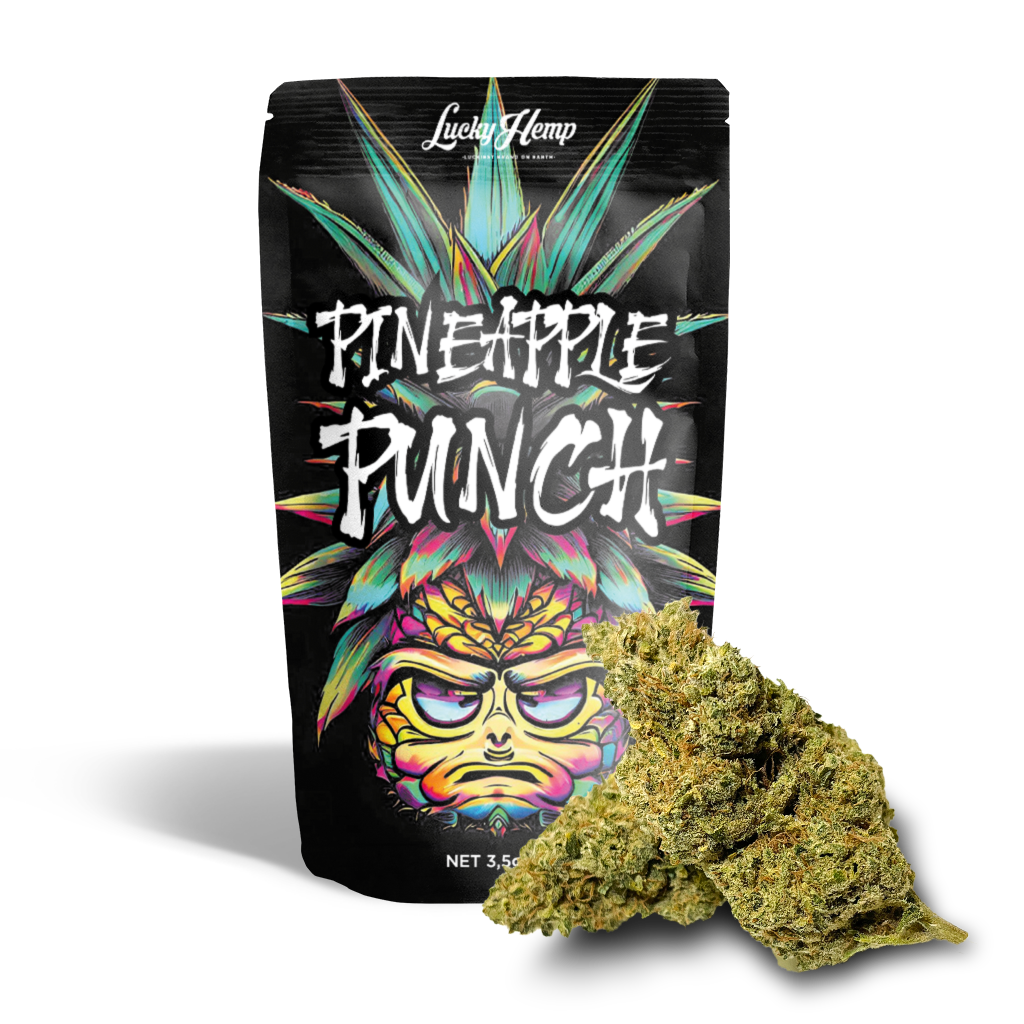 Pineapple Punch Cali Pack Blüten Lucky Hemp   
