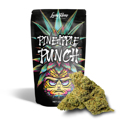 Pineapple Punch Cali Pack Blüten Lucky Hemp   