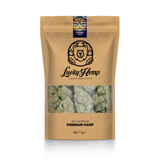 California Blueberry eco pack