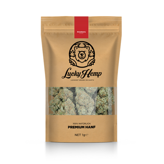 California Blueberry eco pack