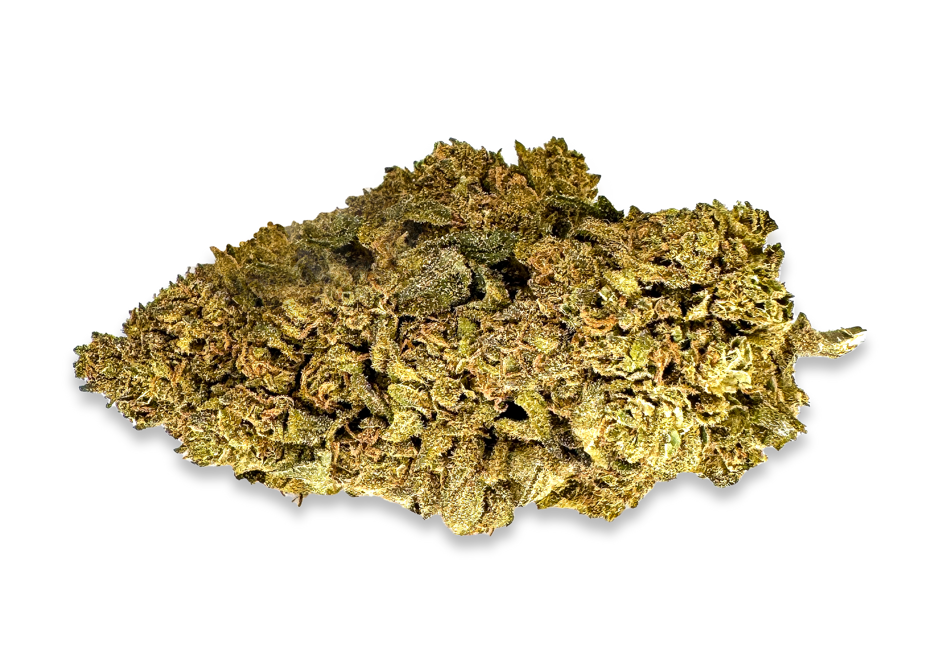 Earthquake CBD Blüten Lucky Hemp   