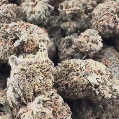 Berry Kush luzem